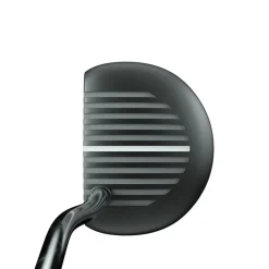 Alt1
