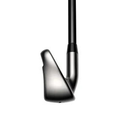 Ds-Adapt Max Lady Hopea - Grafiitti