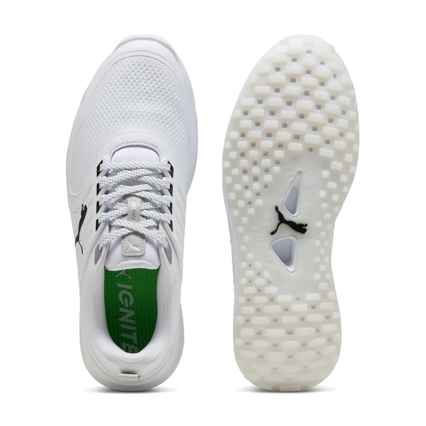 Ignite Elevate 2