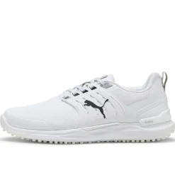Ignite Elevate 2