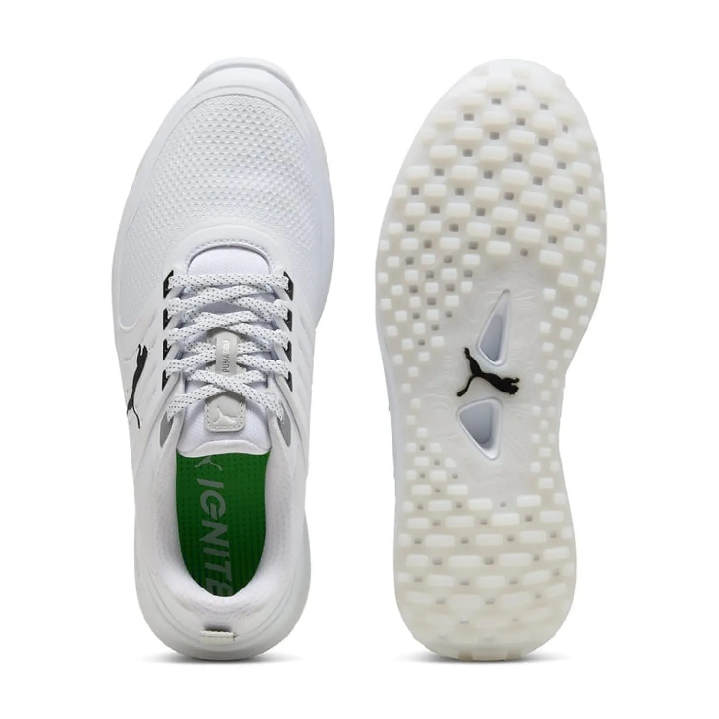 Ignite Elevate 2