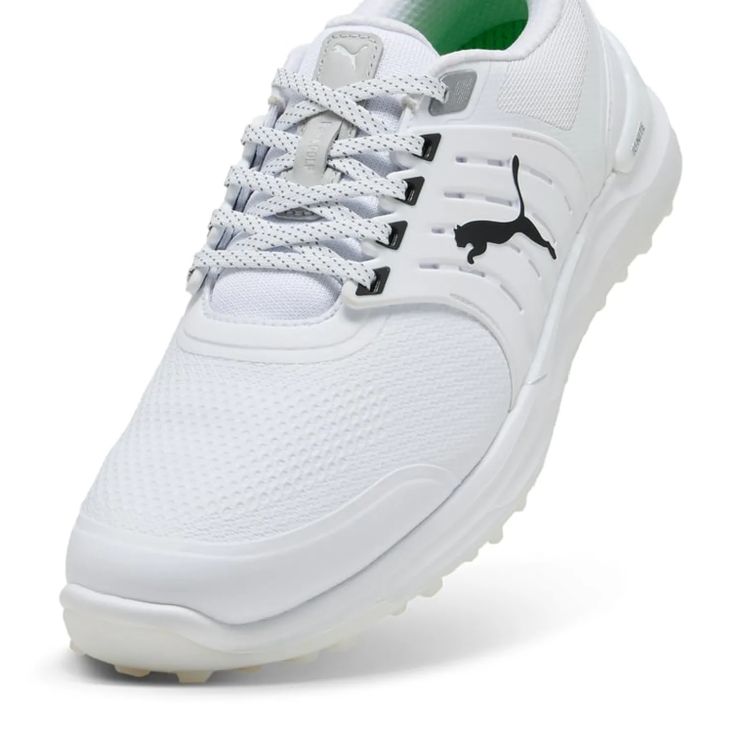 Ignite Elevate 2