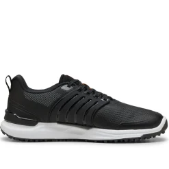 Ignite Elevate 2