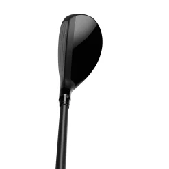 Qi10Tr