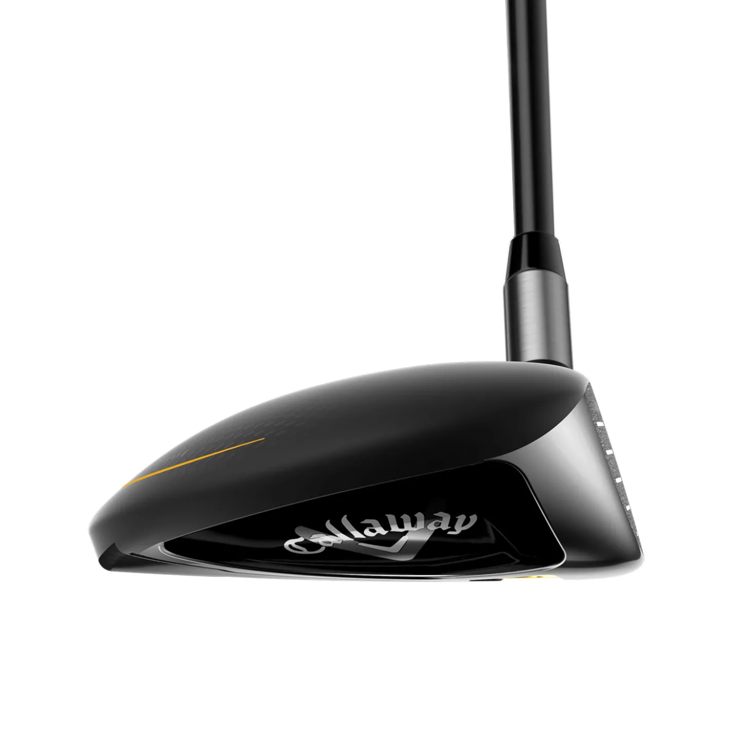 Rogue St Max 24