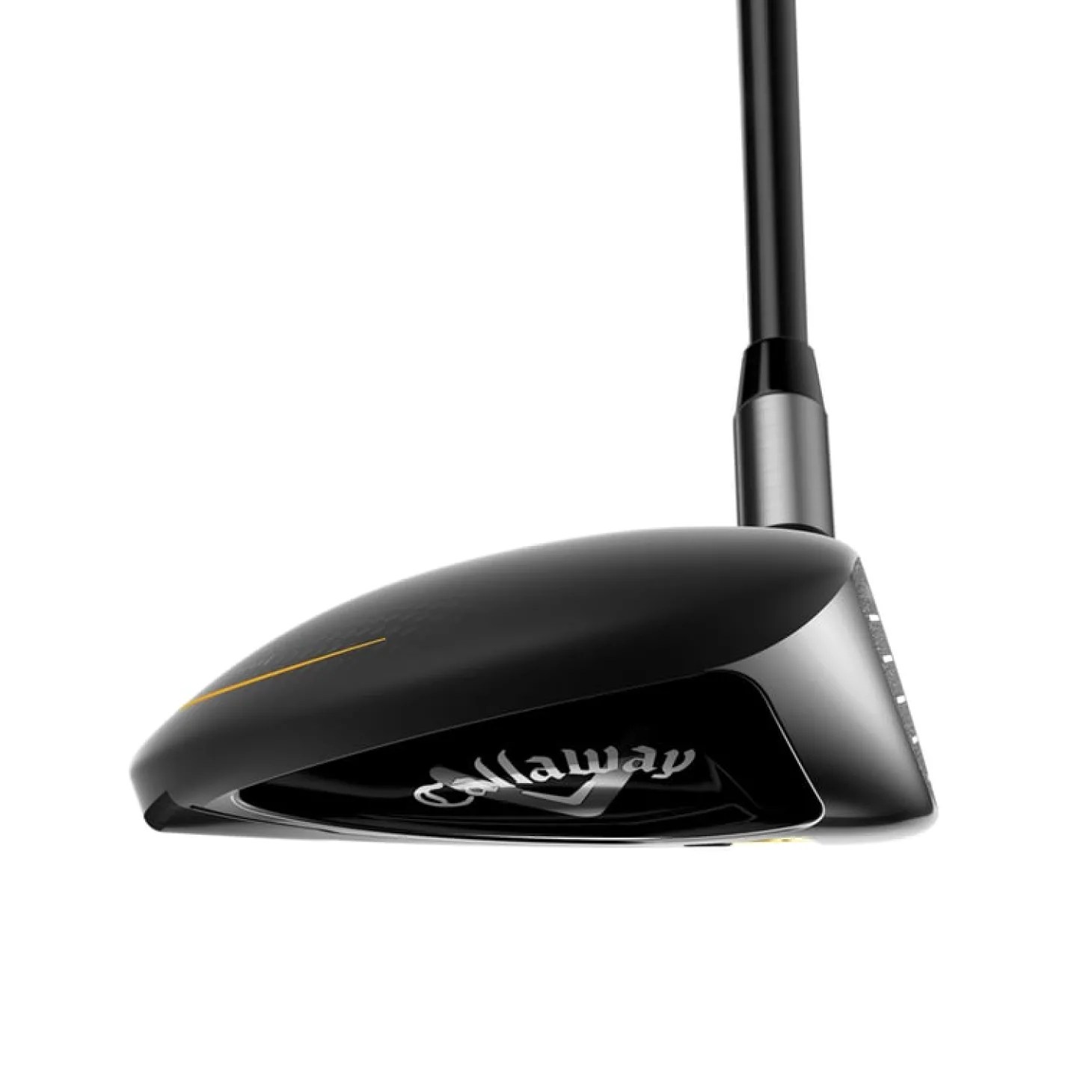 Rogue St Max 24