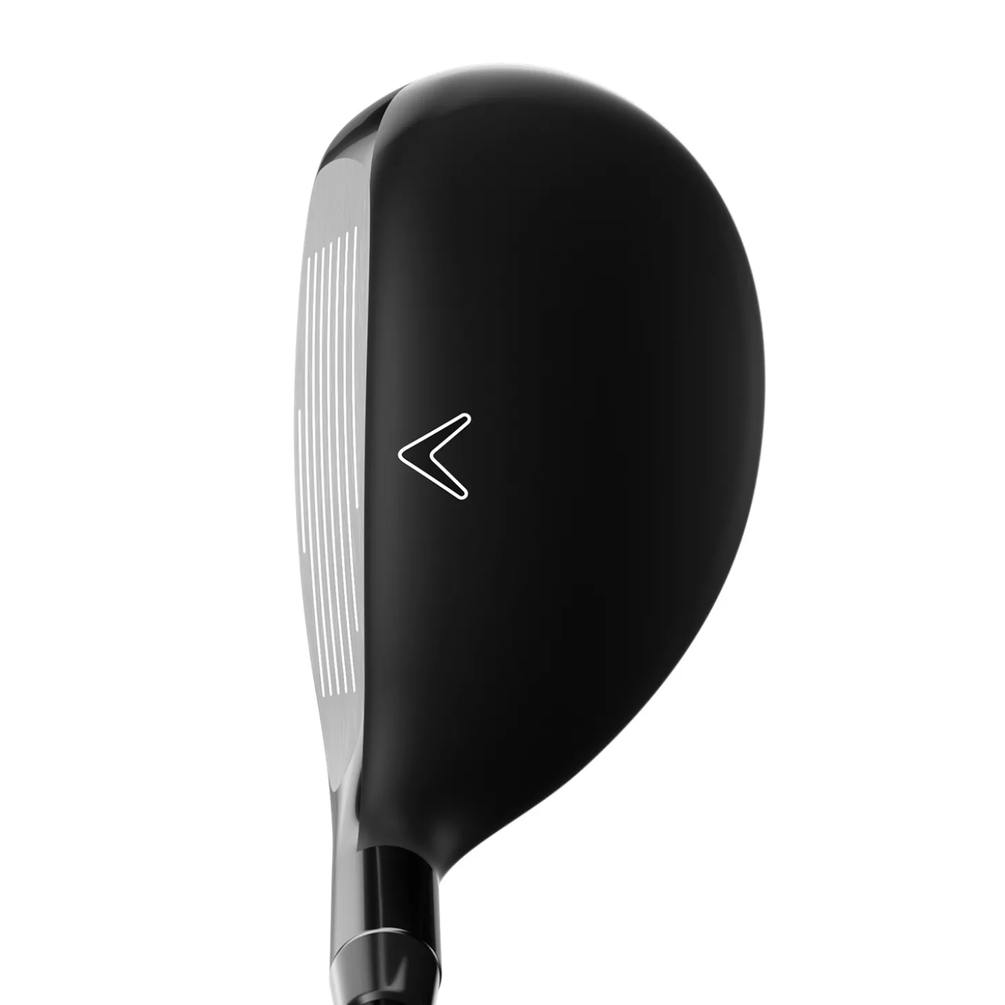 Rogue St Max 24