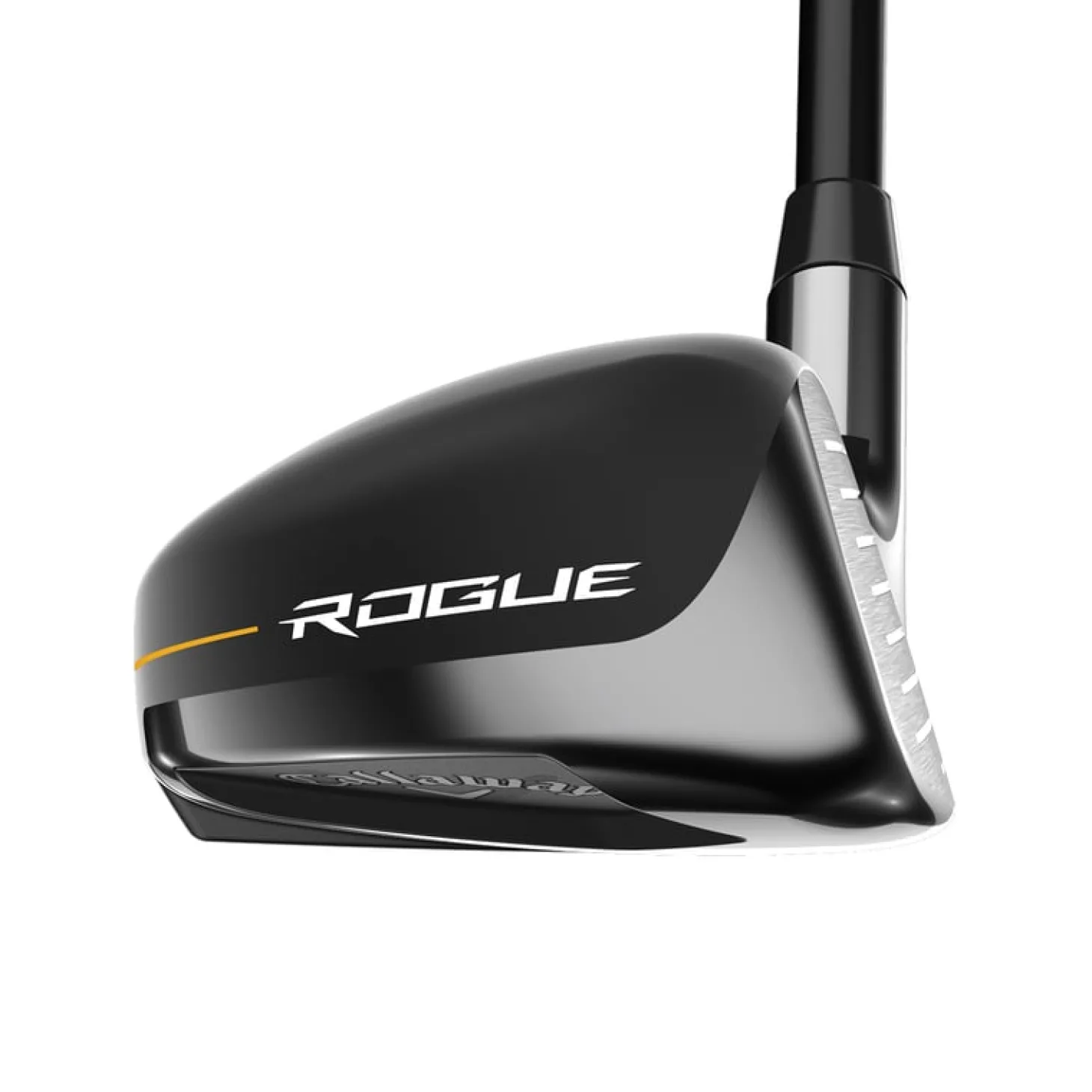 Rogue St Max 24