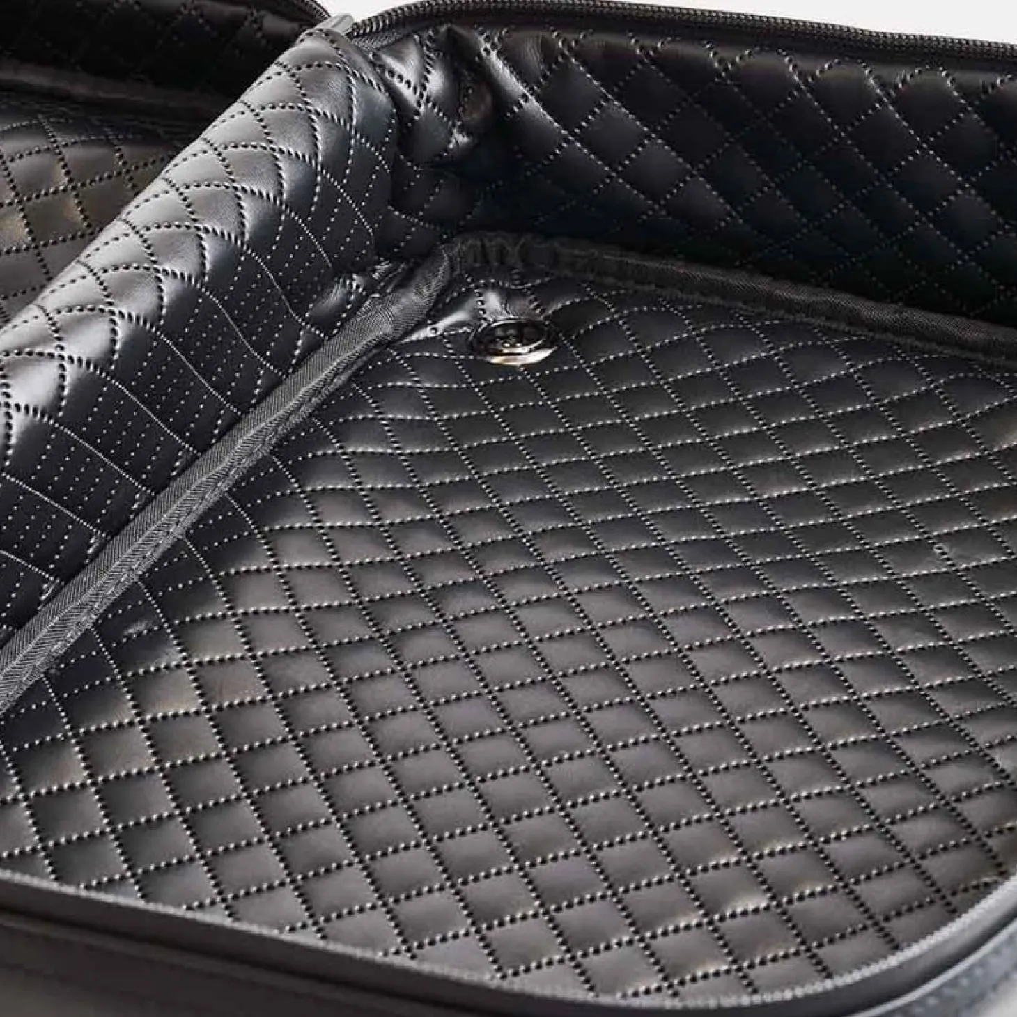 Shoe Bag